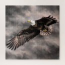 Search for american bald eagle puzzles Bird