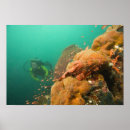 Search for scuba divers posters Marine