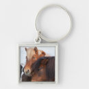 Search for icelandic horses key rings Farm