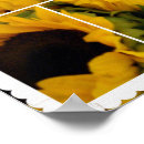 Search for wine tasting posters Sunflowers