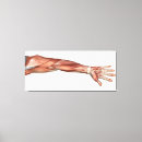 Search for armed canvas prints Horizontal