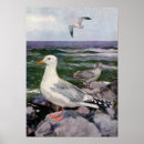 Search for gull posters Seaside