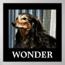 Search for wonders posters Motivational