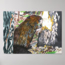 Search for beaver posters Rodent