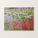 Search for wildflower puzzles Colourful