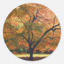 Search for fall leaves apples stickers Thanksgiving