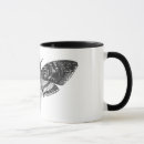 Search for deaths head mugs Insect