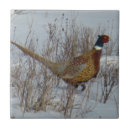 Search for ring tiles Pheasant