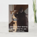 Search for being cards Cats