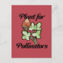 Search for pollinators postcards Nature