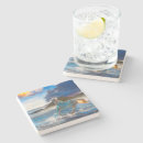 Search for arabian horse Stallion