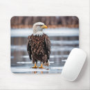 Search for wild eagles mousepads Bird