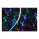 Search for neon lights posters Glowing