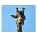 Search for giraffe painting posters Wild animals