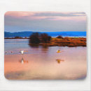 Search for mounted mousepads Bay