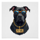 Search for pitbull lover posters Pug