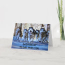 Search for dash in cards Husky
