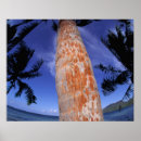 Search for tree bark art Trunk
