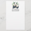 Search for cute panda stationery paper China
