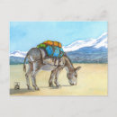 Search for donkey postcards South america