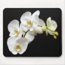 Search for black orchids mousepads White