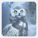 Search for snow owl stickers Forest