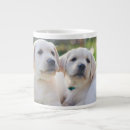 Search for labrador retriever mugs Cute