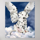 Search for dalmatian puppy posters Spots