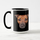 Search for staffordshire mugs Staffy