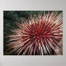 Search for giant art Red