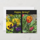 Search for spring postcards Summer