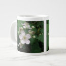 Search for blackberry mugs Blackberries