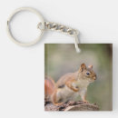 Search for red squirrel key rings Animal
