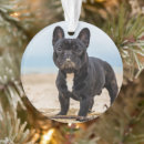 Search for purebred christmas tree decorations Puppy