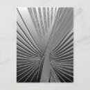 Search for chrome postcards Silver