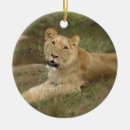 Search for lioness christmas tree decorations lions