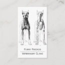 Search for veterinary clinic appointment cards Dog