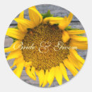 Search for gray wood stickers Country