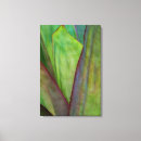 Search for habitat canvas prints Agave
