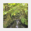 Search for corral Nature
