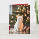Search for kitten christmas cards Kitty