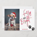 Search for furry christmas cards Pet