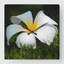 Search for frangipani flower art Flowers