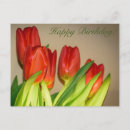 Search for happy birthday tulips postcards Flowers