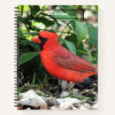 Search for cardinal notebooks Wildlife