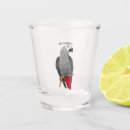 Search for african grey barware Bird