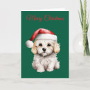 Search for bichon christmas cards Xmas