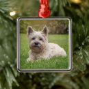 Search for cairn terrier christmas tree decorations Pet