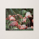 Search for flamingo puzzles Pink