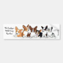 Search for puppy bumper stickers Puppies